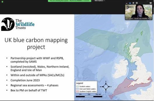 MorrisLeigh's tweet photo. Myself and @DrLaraHowe participated in the @WildlifeTrusts #bluecarbon meeting today. Good that the collective ambition is to map across the entire British Isles. Dovetails well into our @LivingSeasNW #irishsea group and @iomdefa led project 🇮🇲🌱🌊 https://t.co/w49dxgUs0l