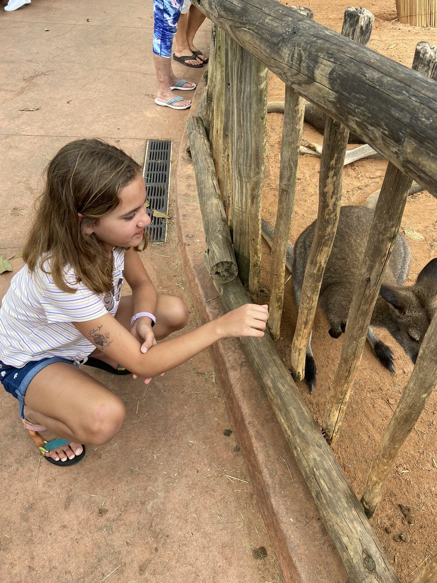 SCE PTO Fishers tweet media