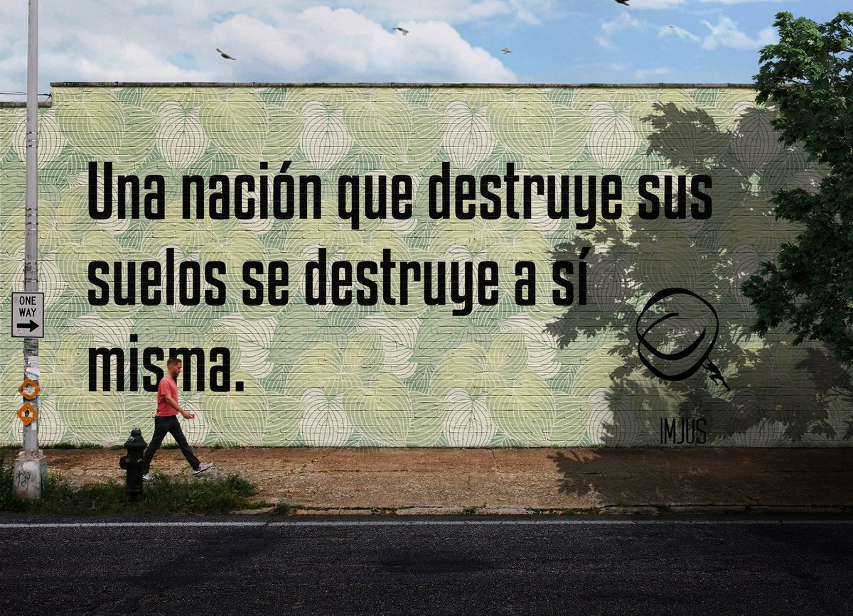 Instituto Mexicano Para La Justicia tweet media