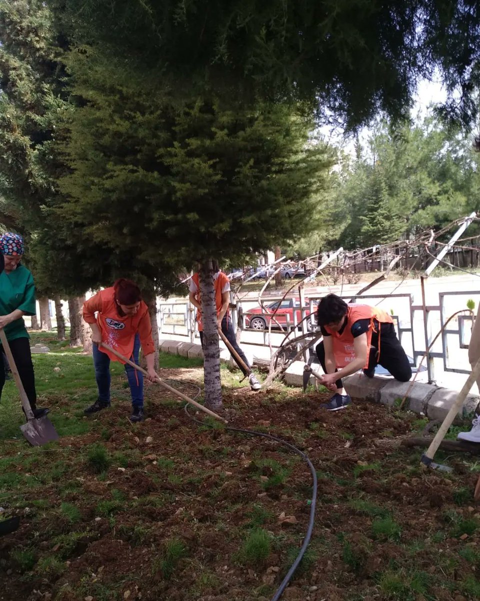 ibrahimcalik46's tweet photo. Okulumuzda bahçe hazırlığı yaptık, sebze üretimine başladık. Bu önemli çalışmada emeği geçen Değerli Öğretmenimiz Filiz RAMAZANOĞULLARI'na ve 11/F Sınıfına teşekkür ederiz. 💚🌱🌳⛏🪓🌳🌱 https://t.co/87U2SABy5I