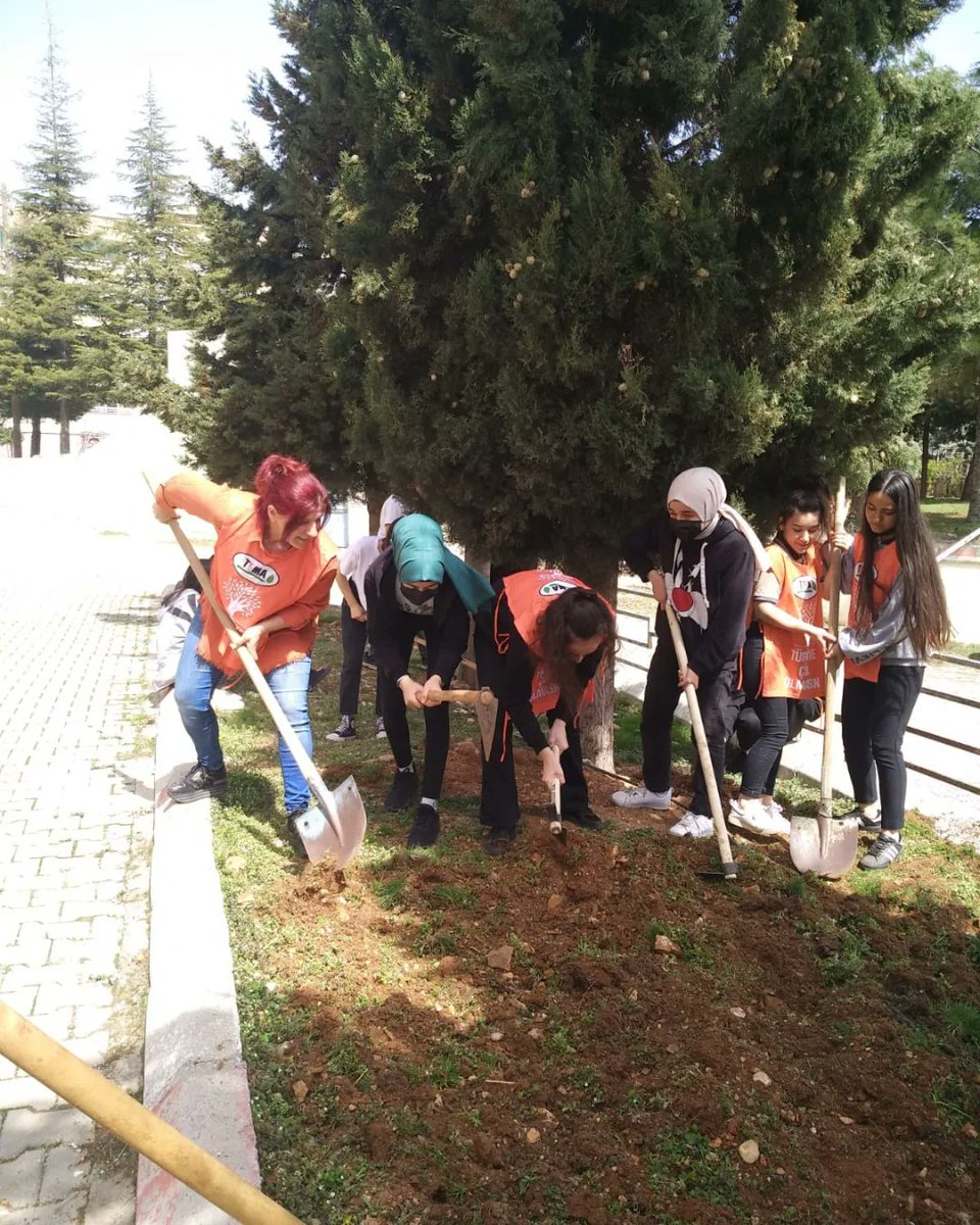 ibrahimcalik46's tweet photo. Okulumuzda bahçe hazırlığı yaptık, sebze üretimine başladık. Bu önemli çalışmada emeği geçen Değerli Öğretmenimiz Filiz RAMAZANOĞULLARI'na ve 11/F Sınıfına teşekkür ederiz. 💚🌱🌳⛏🪓🌳🌱 https://t.co/87U2SABy5I