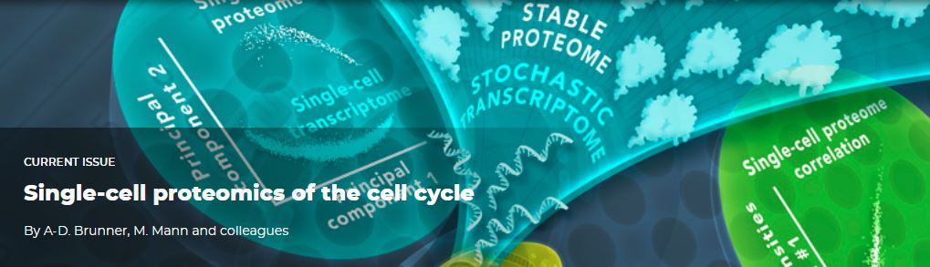 Andreas-David Brunner tweet media