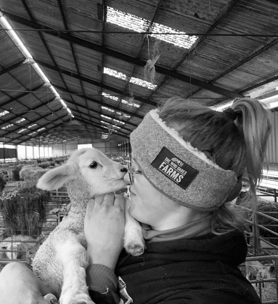 Nose kisses from lambs everyday please.  

#shewhodaresfarms