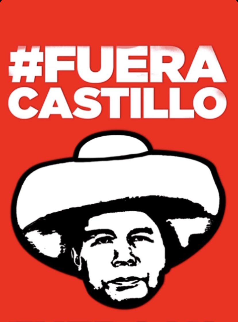 Perdemcrata1's tweet photo. #FueraCastilloFuera 
#FueraCastilloFueraYa https://t.co/0HuVl8oEab