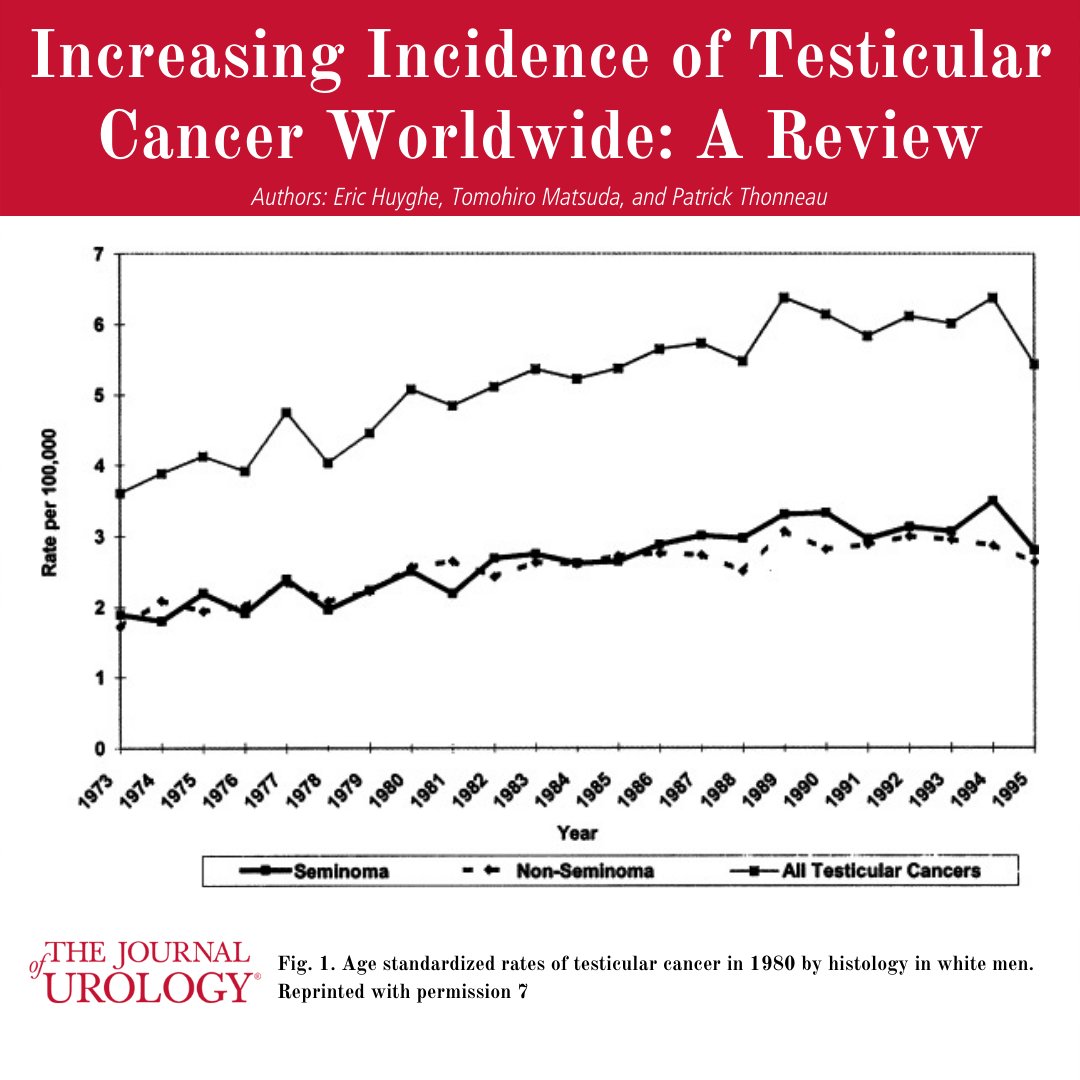 JUrology's tweet photo. "Increasing Incidence of Testicular Cancer Worldwide: A Review" #TesticularCancerAwarenessMonth #UroSoMe

Article➡️ https://t.co/sVRa95eZTj

Authors: Eric Huyghe, Tomohiro Matsuda, and Patrick Thonneau https://t.co/oG4BF008tb