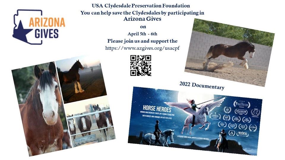 USACPF's tweet photo. AZ Gives starts TODAY!  Please consider making a tax deductible donation to USACPF! We are 100% volunteer foundation, so all funds go directly to the care and feeding of our Clydesdales. #AZGivesDay #Equine #SaveTheClydes #Volunteering https://t.co/bZsD8YpOSU