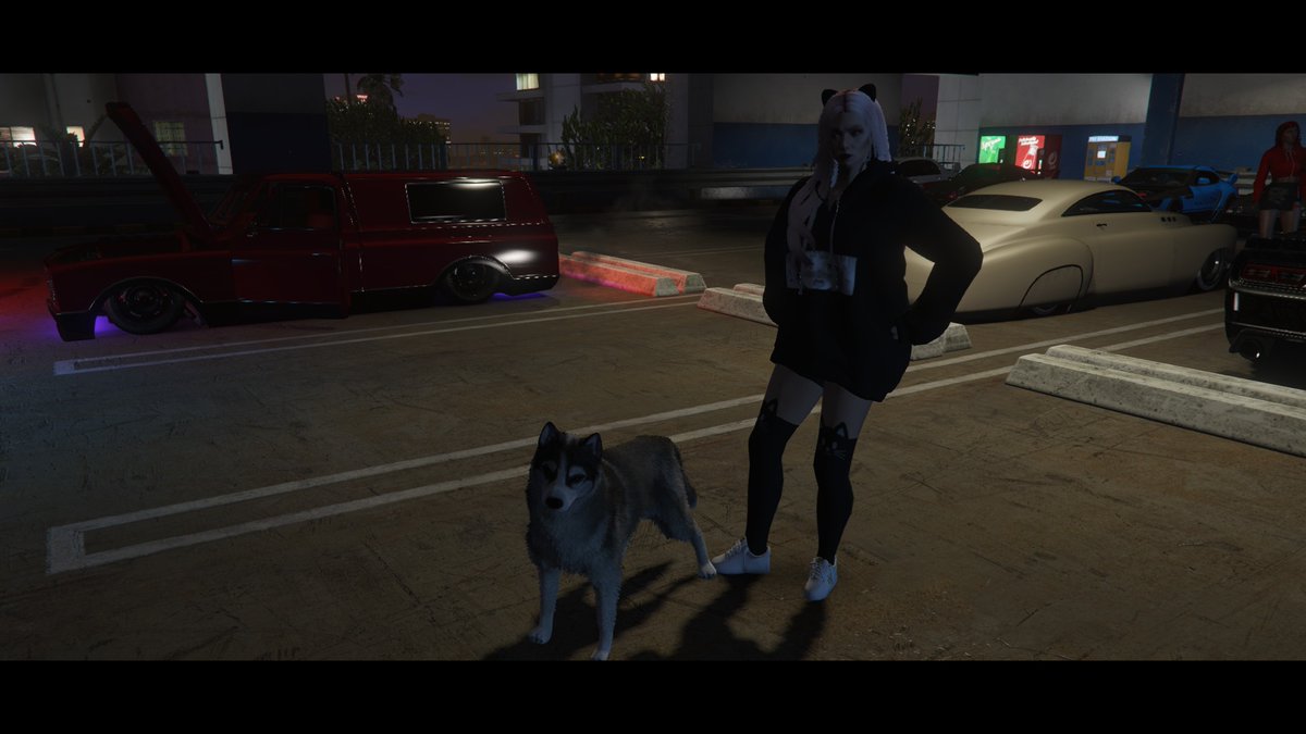 RpNolife's tweet photo. Come join our roleplay server (Nolife RP) we have Police jobs, EMS job, Bank robberies, chop shop, Racing and so much more!! looking for more police and crimes or people who want to start another gang!!! WE ALSO HAVE PETS NOW!!! join our discord now https://t.co/lXPVB80q1q https://t.co/q4uUg3AUUU