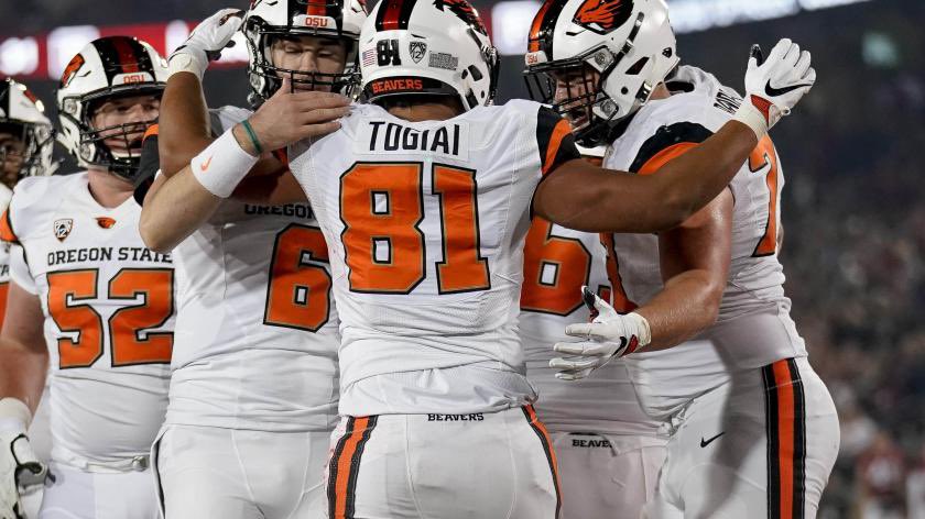 Patrick Wooley tweet media