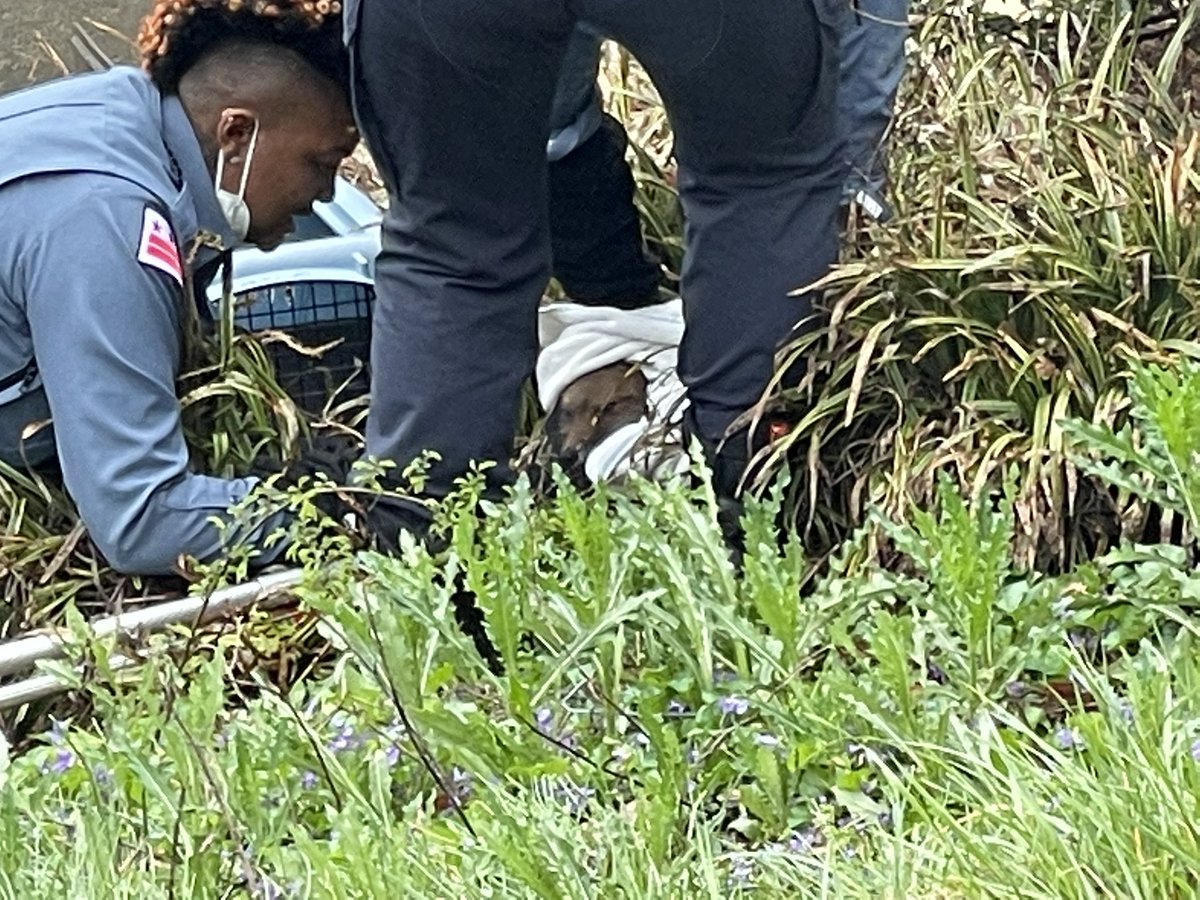 CapitolPolice's tweet image. #BREAKING: Captured.