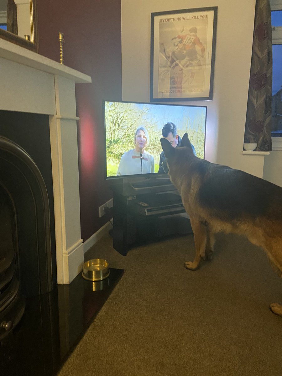 debmalonexx's tweet photo. @GraemeDogfather @channel5_tv Billy’s favourite programme on TV 😜😜 https://t.co/fCFj12k5Ml