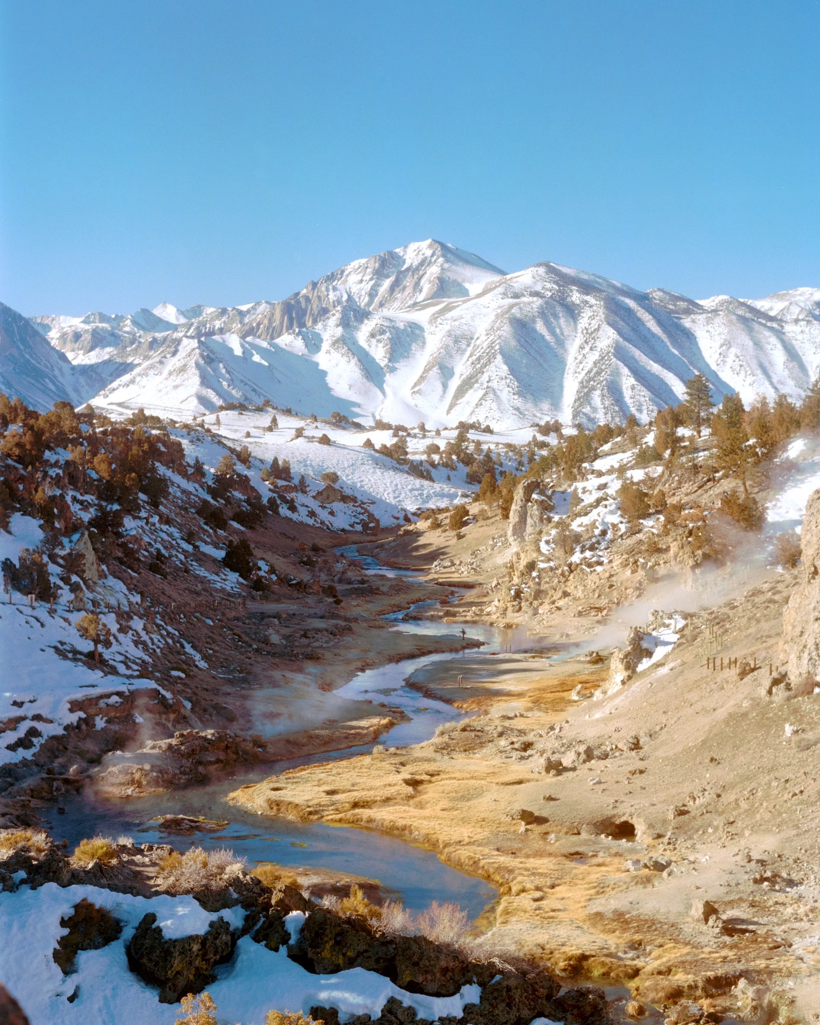 nick rufo on Twitter: 