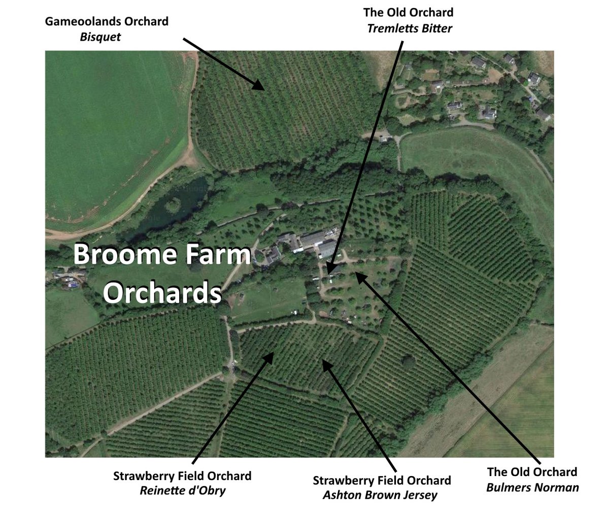 We love learning about cider *almost* as much as drinking it! Check out this brilliant blog post from Albert at Ross about all the different apples that go into making their cider bristolcidershop.co.uk/blogs/news/ross