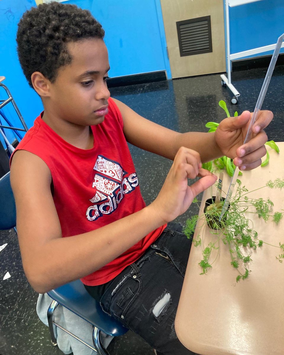 BWA09x323's tweet photo. Look at us grow! More info at https://t.co/7exGWeS6rE @ucs_uft @CSD9Bronx #NYCDistrict9 #BronxCouncilDistrict16 #BronxCommunityBoard4 @NYCSchools @NYCMayorsOffice @DOEChancellor @nycgov https://t.co/YMTx7Mp4dZ