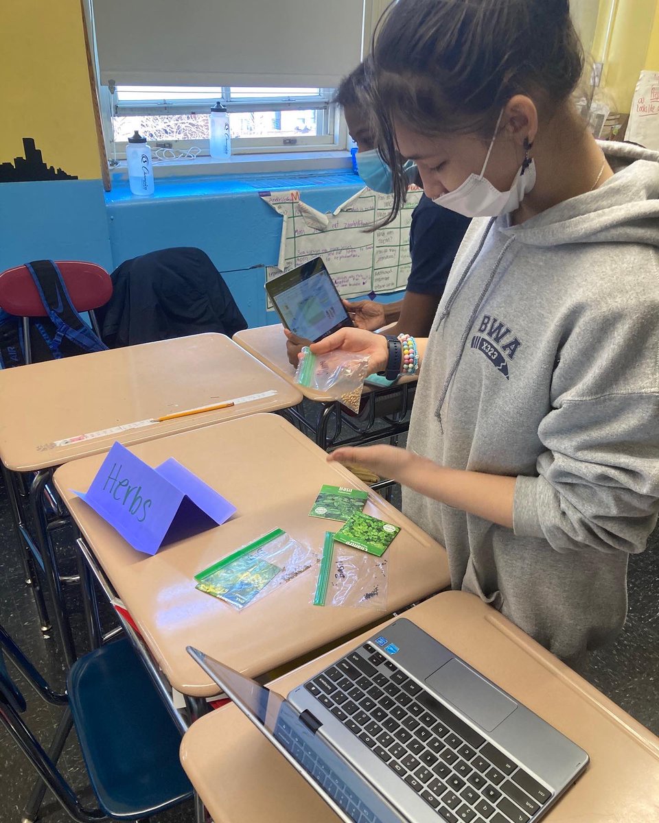 BWA09x323's tweet photo. Look at us grow! More info at https://t.co/7exGWeS6rE @ucs_uft @CSD9Bronx #NYCDistrict9 #BronxCouncilDistrict16 #BronxCommunityBoard4 @NYCSchools @NYCMayorsOffice @DOEChancellor @nycgov https://t.co/YMTx7Mp4dZ