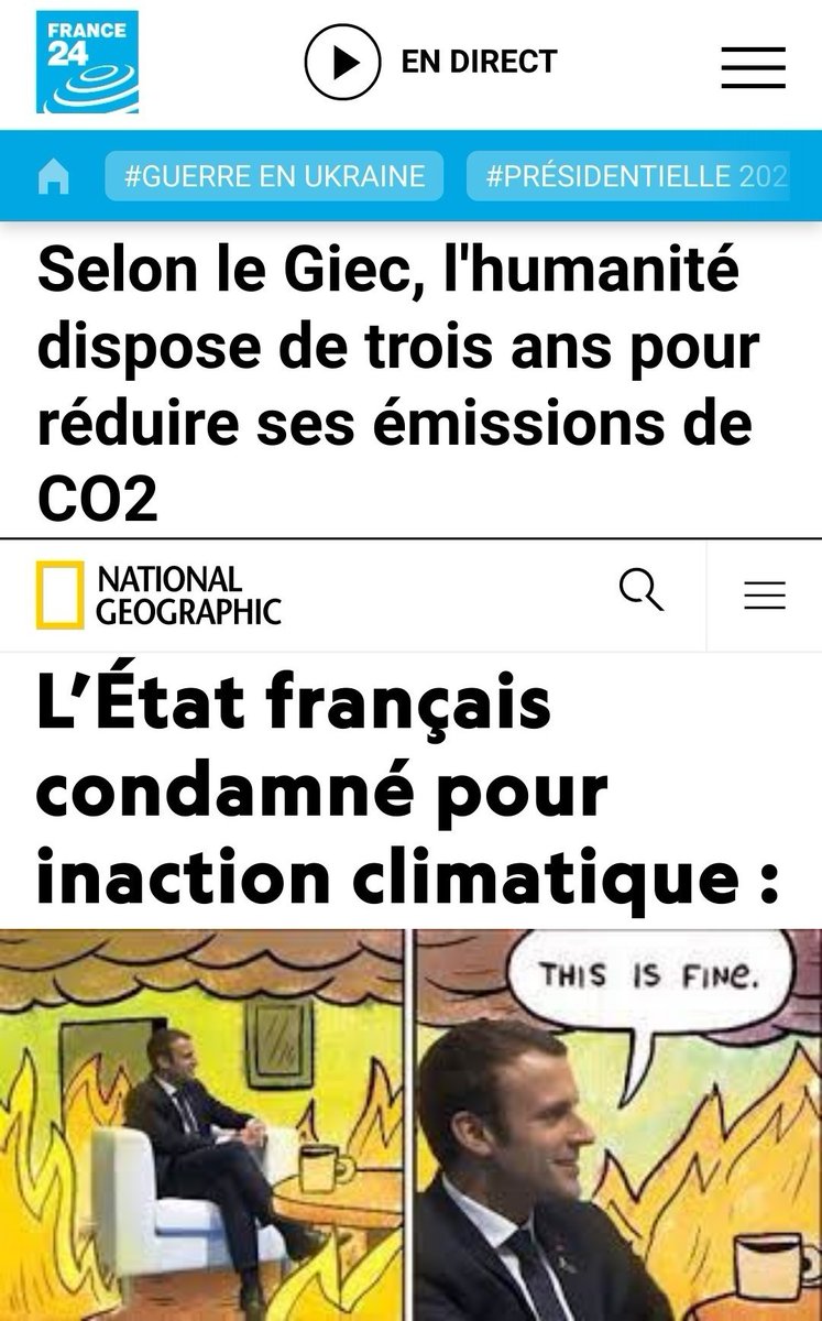 Vincent Tigreat tweet media