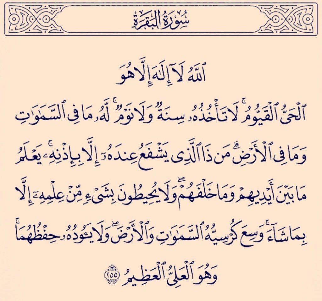 💙 محمد العالمي 💛 tweet media