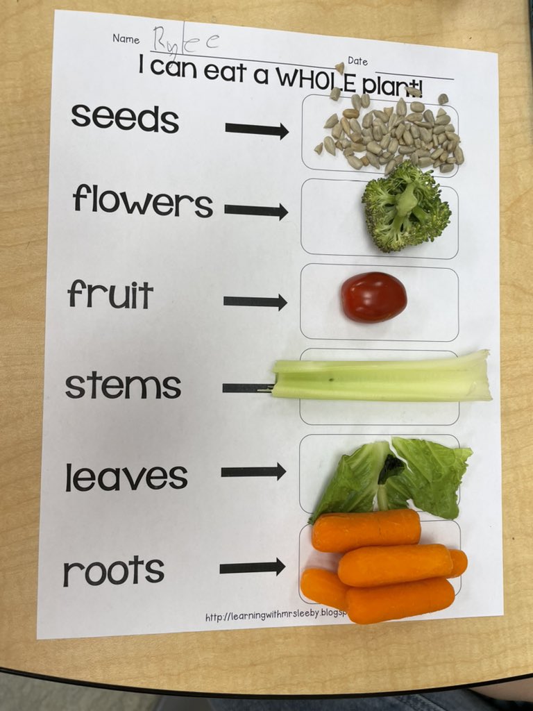 Nicole Macleod tweet media