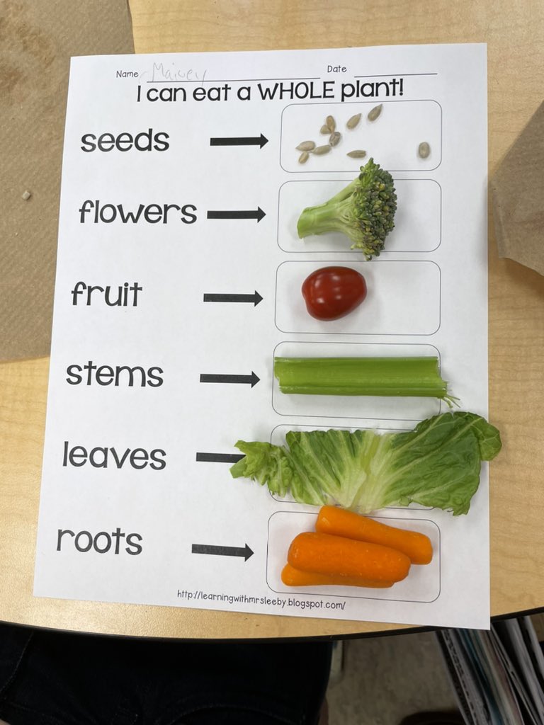 Nicole Macleod tweet media