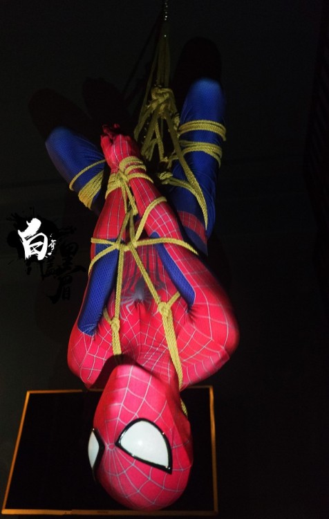 Once he tried to set up a trap to catch the cat.

But instead he was the one falling on hers.

@WebbedHardy