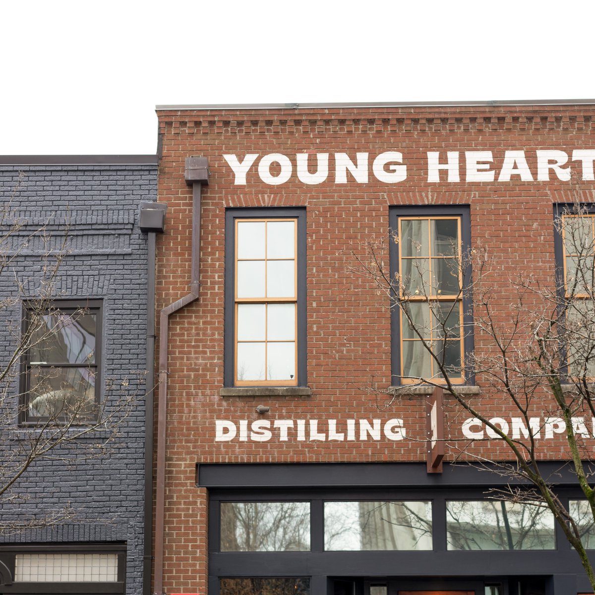 TheLocalPalate's tweet image. The steady revitalization of downtown Raleigh hit a milestone in late 2021 with the opening of the city's first distillery, @youngheartsral. We caught up with co-owner @powershour to learn more about this recent newcomer to the city’s beverage scene: thelocalpalate.com/articles/young…