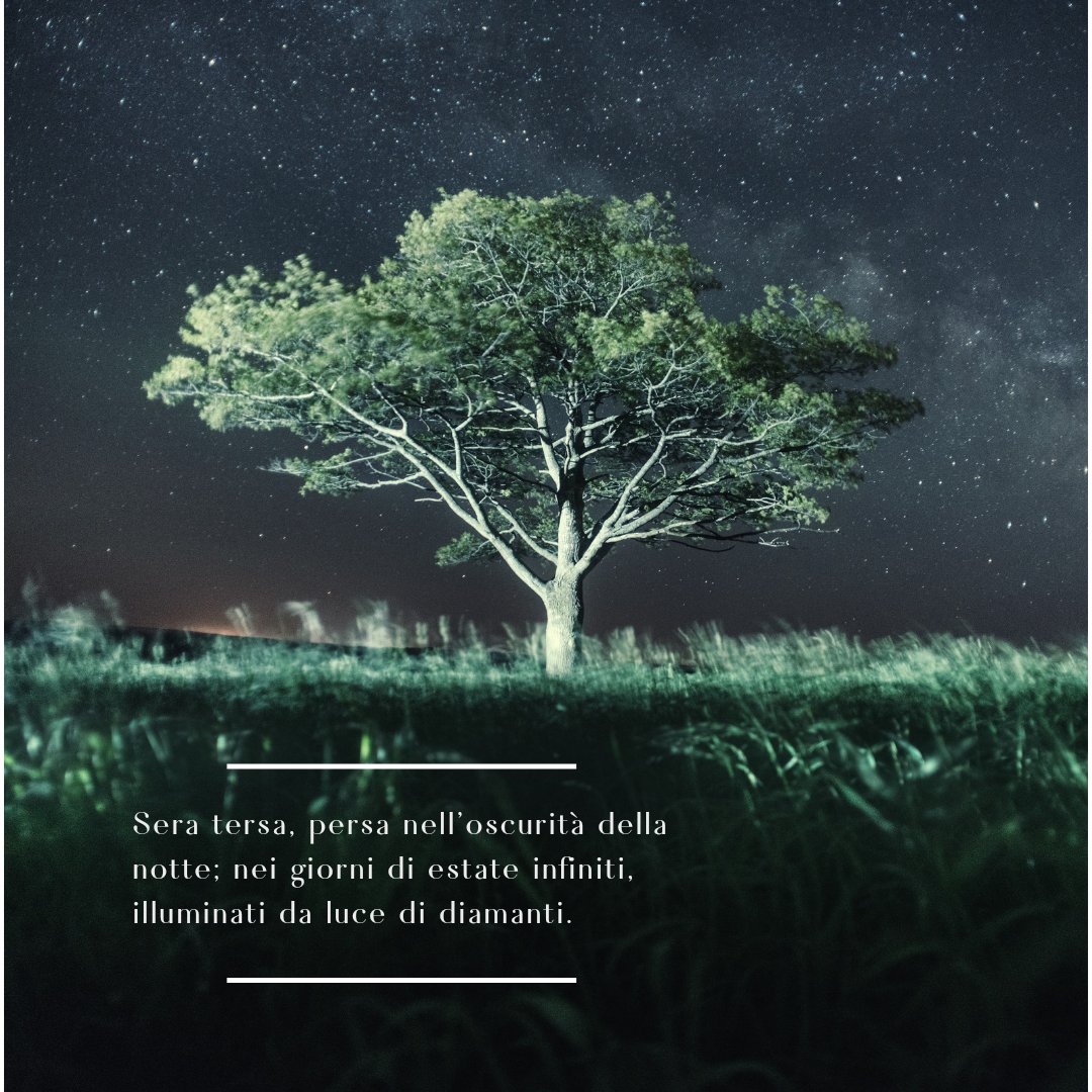 a_more_write's tweet photo. LUCE DI DIAMANTI
#luce #stelle #sera #tersa #estate #limpida #armonia #natura #poesia #parole #bellezza #amore #pensieri #diamanti https://t.co/Y5goa9pnsA