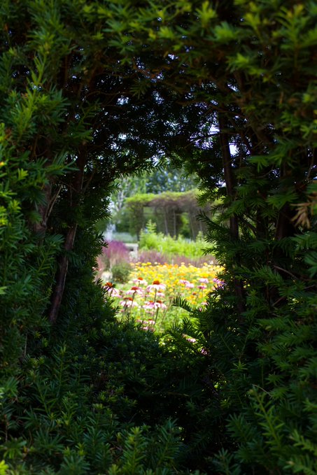 🌸まるで秘密の花園🌼 📌トリノ、ヴェナリア宮殿 @italia @turismotorino @torinopiemonte 👉 https://t.co/qkwZWxwfUg from @L