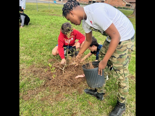 PikeRoadSchools's tweet photo. Mr. Noles' learners were clearing the grass away from the roots of our blueberry bushes so they are not depleted of nutrients. What an innovative way to learn more about agriscience! 🌳🌱 #PRHS #ThinkInnovateCreate #PikeRoadWay https://t.co/dY4tbLgQS8