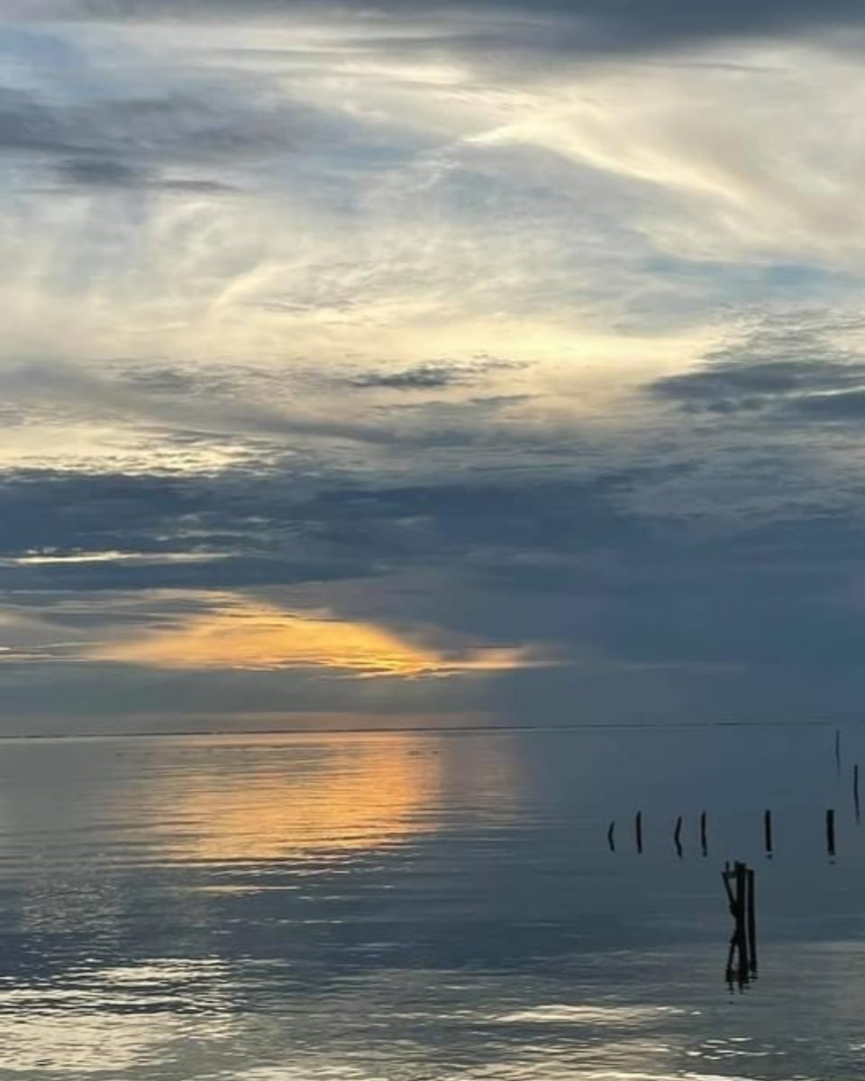 SMARTBuffetWare's tweet photo. Sunset Series from SBW – “Doubt is a killer. You just have to know who you are and what you stand for. “ -Jennifer Lopez
#smartbuffetware #sunset #alabama #gulfcoast https://t.co/s3R77hWJVi