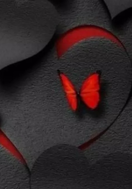delikiz3434343's tweet photo. Biz onunla aynı sevdanın
Karanlığında #Siyaha
Bulandık..
Ne onu gören oldu
#Birdaha
Ne de bana
#Rastlayan .. ⭐🖤 https://t.co/EbrXBs7rkk