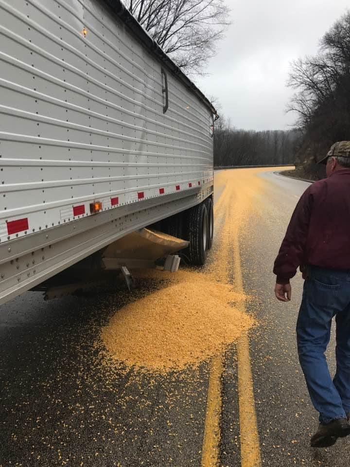 cow chow szn tweet media