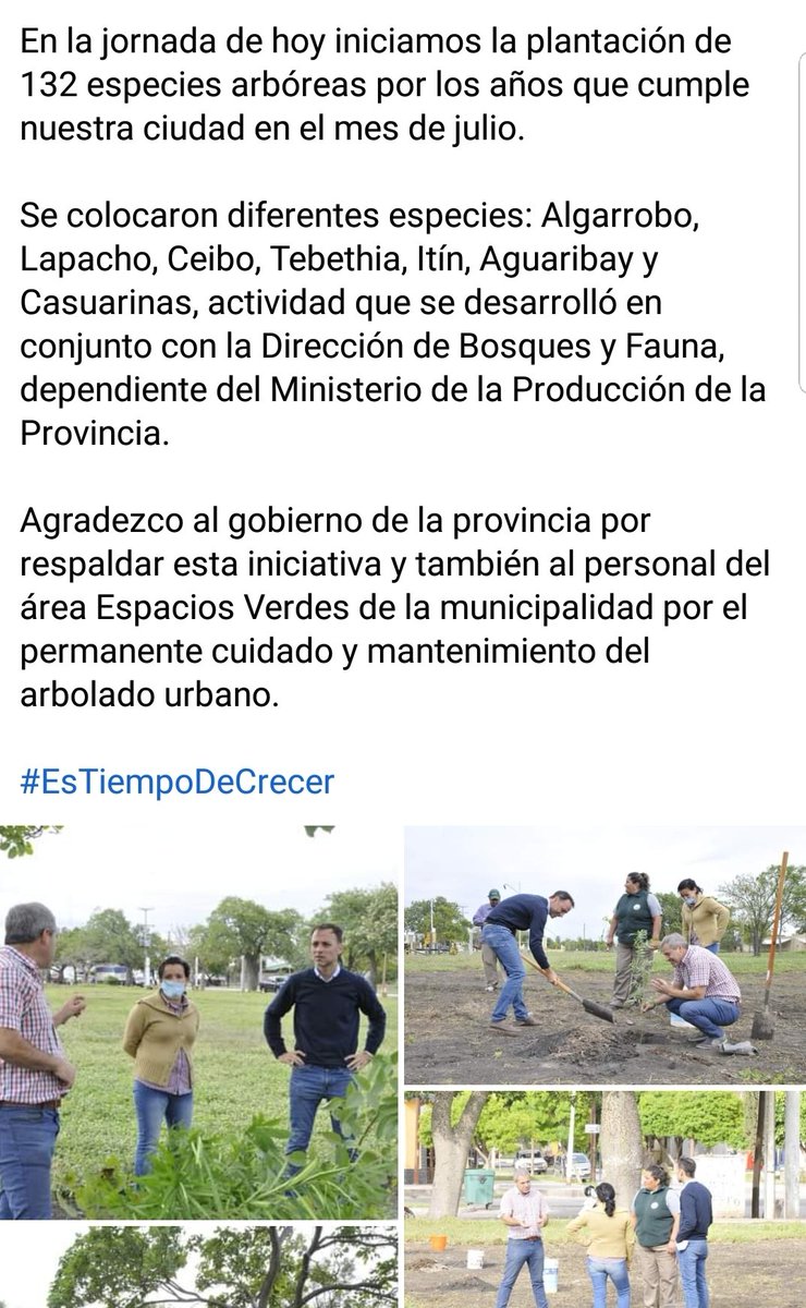 Seguimos forestando🌱🌳🌲
