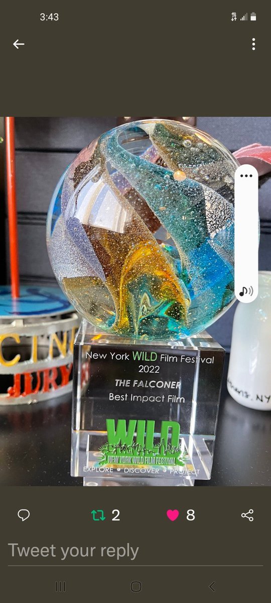 The Falconer 
Thanks Annie
#RodneysRaptors 
#DippysDream 
#BigChuck