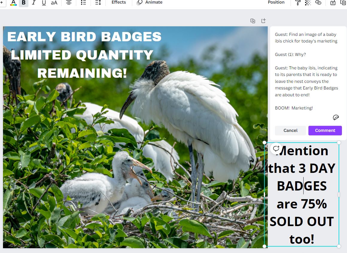 ⏰🐦Early Bird Badges - Limited Quantity Remaining! 
Badge price will be increasing soon. 3 Day Badges are also 75% SOLD OUT! Book now: aus.paxsite.com/en-us/registra…
PS - have you ever seen a baby ibis chick before? We definitely hadn't before this glorious marketing asset was created.