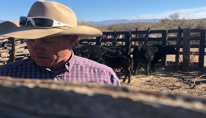 azfb's tweet photo. #ArizonaBeef’s Local Markets, Quality and Environmental Footprint: https://t.co/t5k5uhOCod https://t.co/SxpHccOyBA