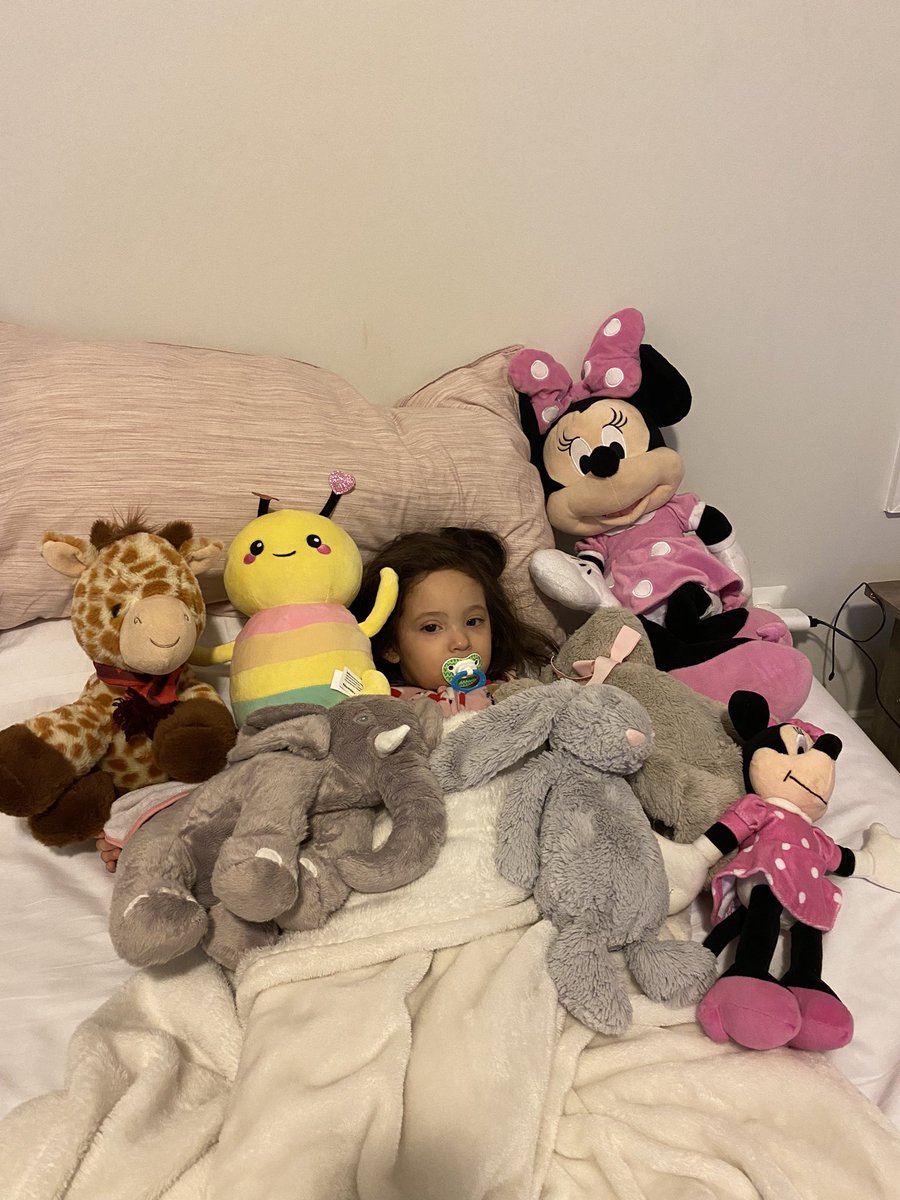 HTMayorga's tweet image. Comodisima la chavala! #evalu #sickday #QuedateEnCasa No es COVID