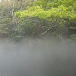 桑高克直(くわっち)のツイート画像