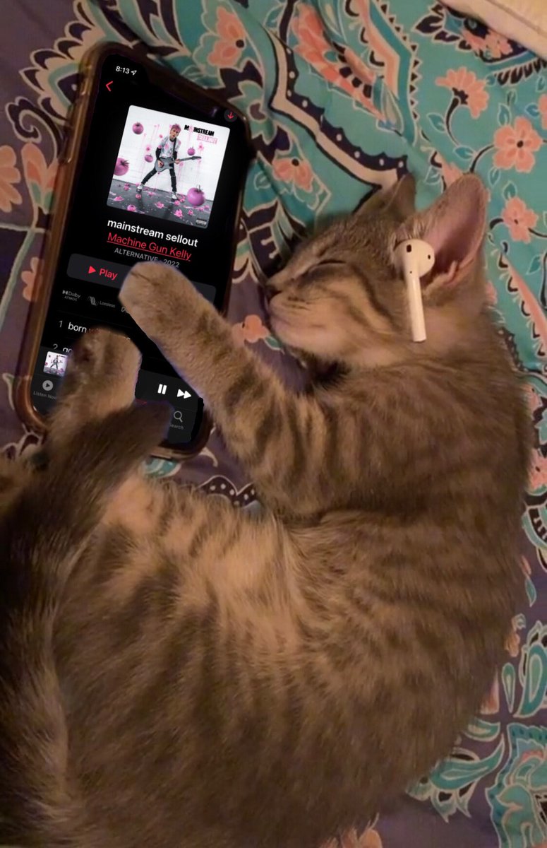 lostboysmgk's tweet photo. me everyday 🎶#MainstreamSellout @machinegunkelly https://t.co/61DIgZN0ZC