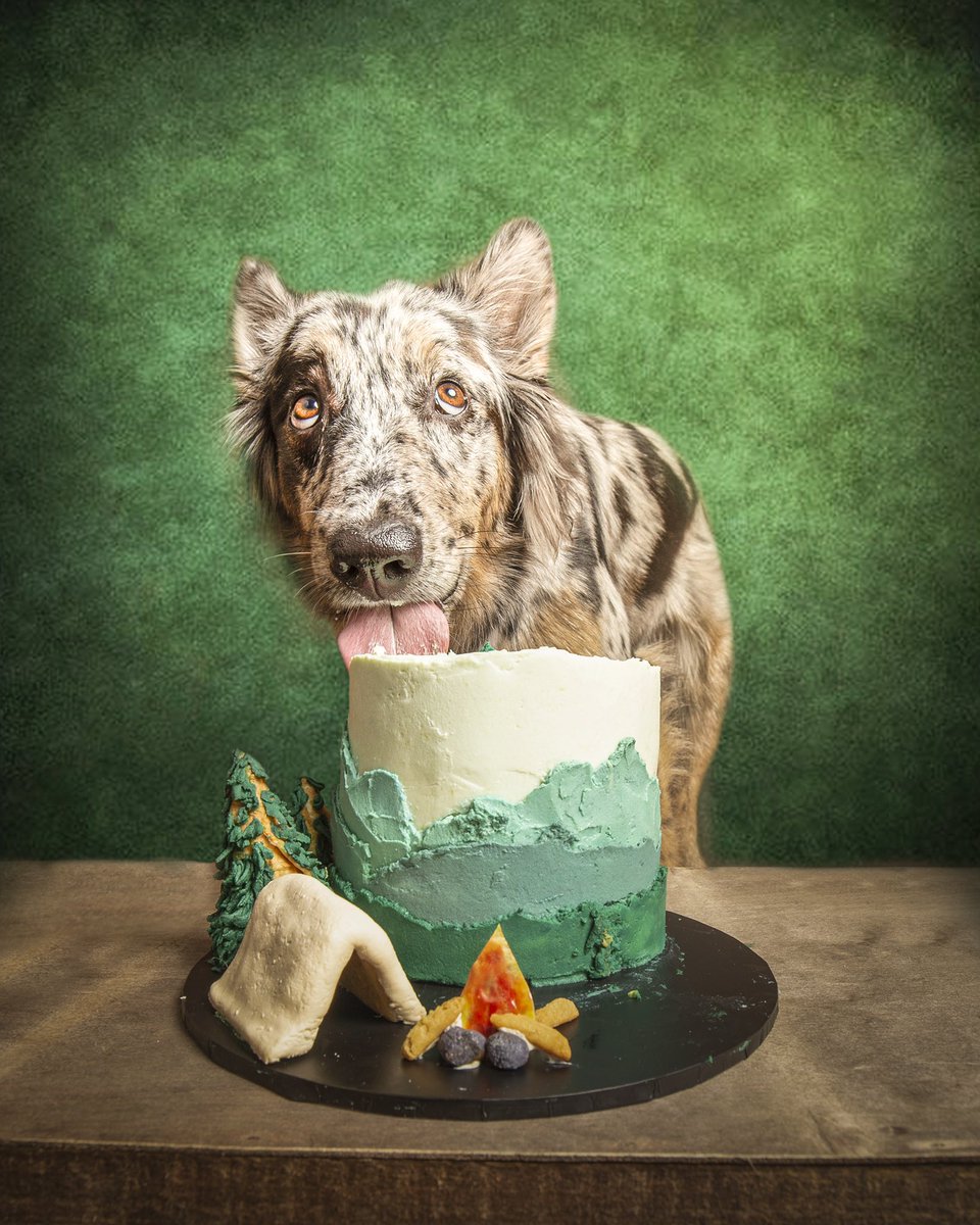 Courtraits tweet media