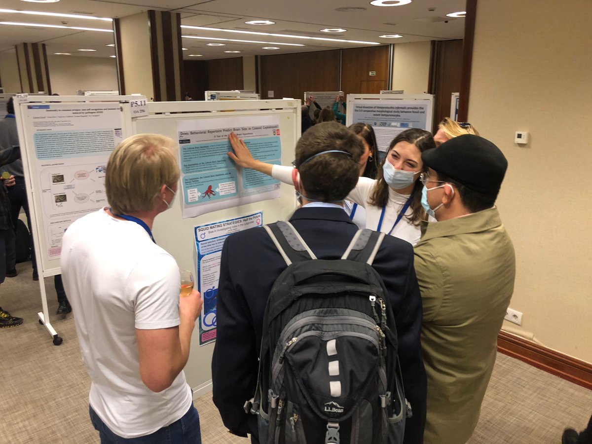 ciac2022's tweet photo. Here are some highlights of the awesome poster session! As expected, the cephalopod community delivered grandly! Thank you all for sharing your amazing science and flying your cephalopod flag so proudly 😍❤️🎉🐙🦑
@cephCIAC #ciac2022 #cephalopods https://t.co/zk7BNhpAn9