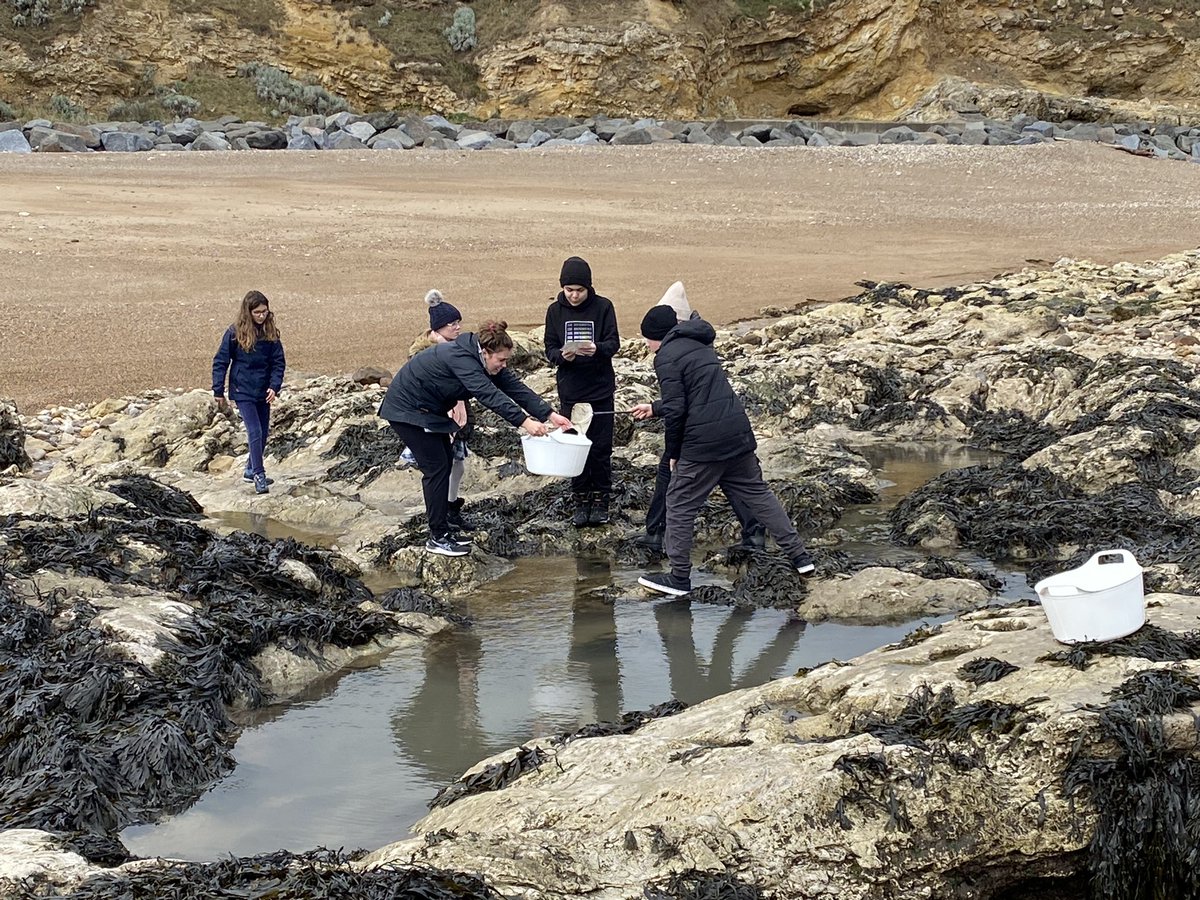 Fabulous day at beach school with @OASES_NorthEast The perfect way for children from 5 different nations to get to know each other by exploring together!!🇩🇰🇸🇪🇪🇸🇵🇱🇬🇧@erasmusplusUK