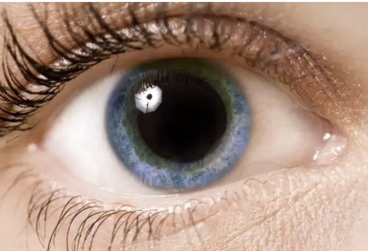 La Fédération de Recherche Sciences et Cultures du Visuel organise une journée sur l’activité pupillaire organisée par L. Madelain coordinateur de l’axe Perception et Cognition Visuelle de <a href="/FR_SCV/">Sciences et Cultures du Visuel</a> et animée par J. Lorenceau 
Mercredi 22 Juin 2022 (10h-17h)