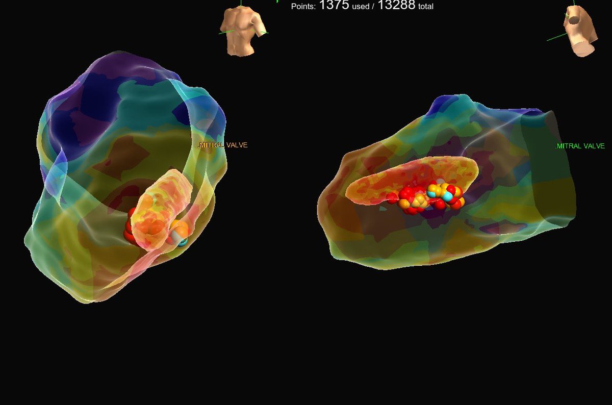 Jacqueline Held tweet media