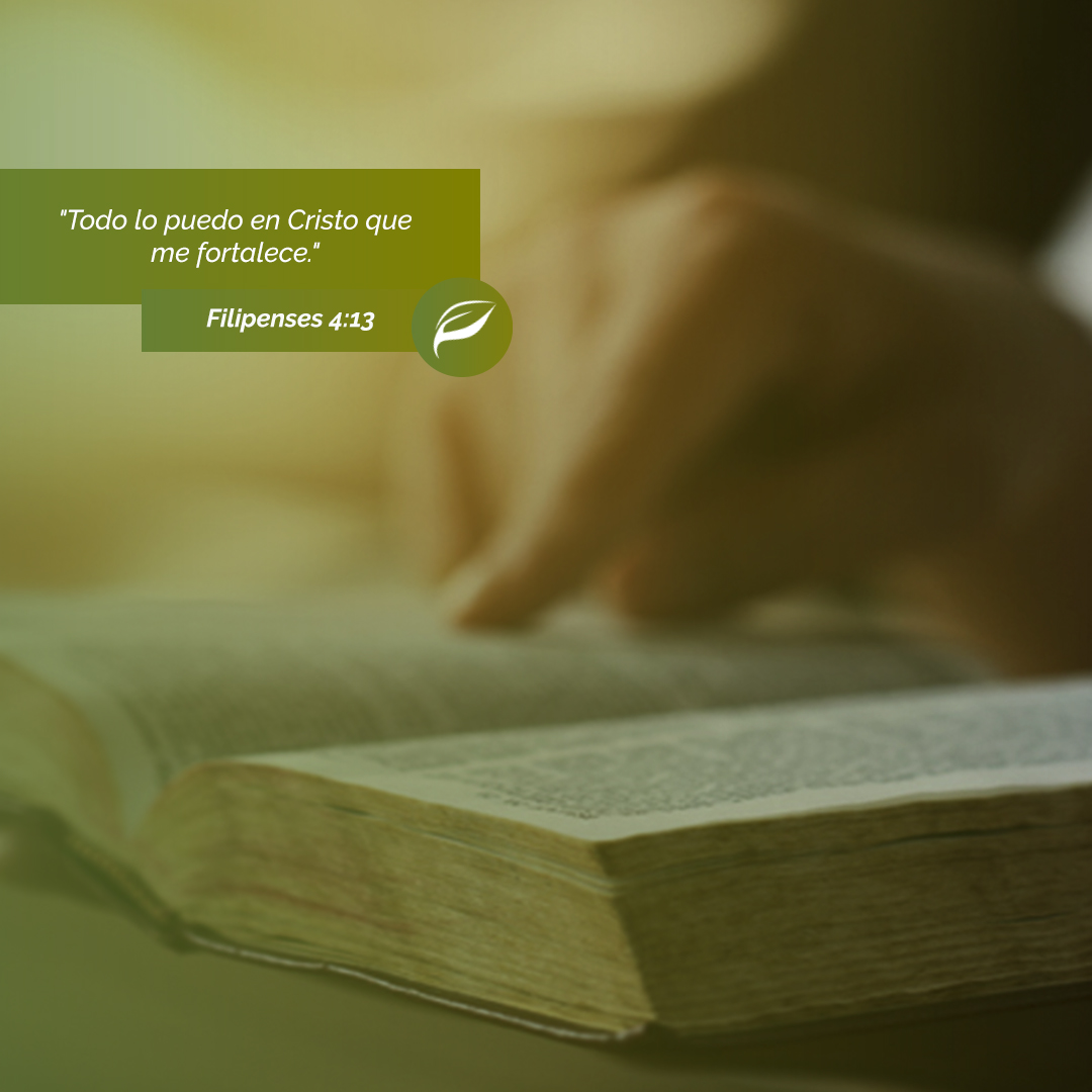 EdenSoftware's tweet photo. Nuestra fe en el Señor nos da la fuerza que necesitamos 🙏 #FelizDomingo #MensajesDeDios https://t.co/vdaZQ1LQkX