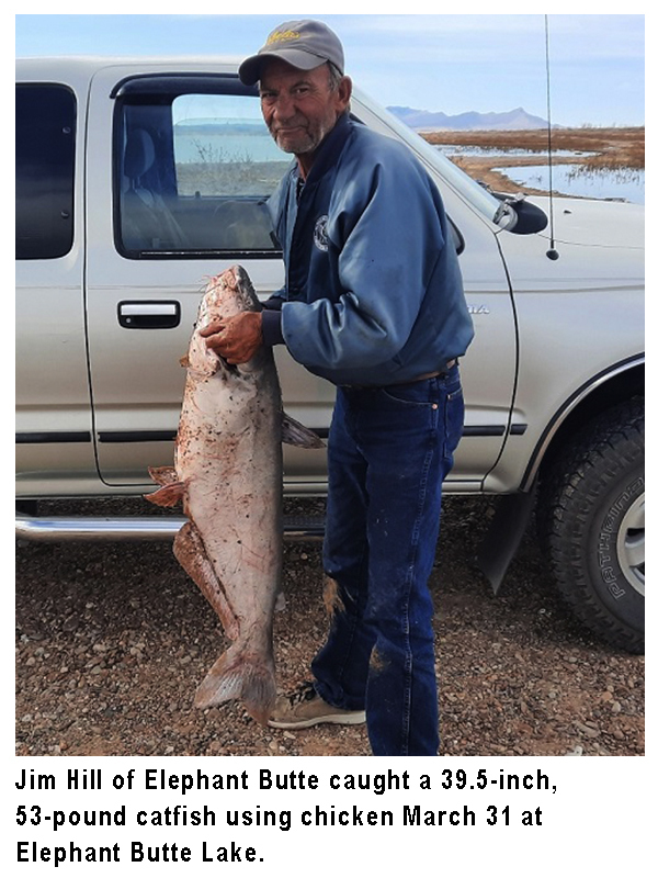 NMDGF's tweet photo. This #fishingreport, provided by Dustin Berg of Go Unlimited (supporting disabled anglers) and the @NMDGF, has been generated from the best information available from area officers and anglers. #fishnm #wildnm #nmfishingreport #nmstockingreport
https://t.co/5Ba0HOK9oa https://t.co/cOrN61n4hp