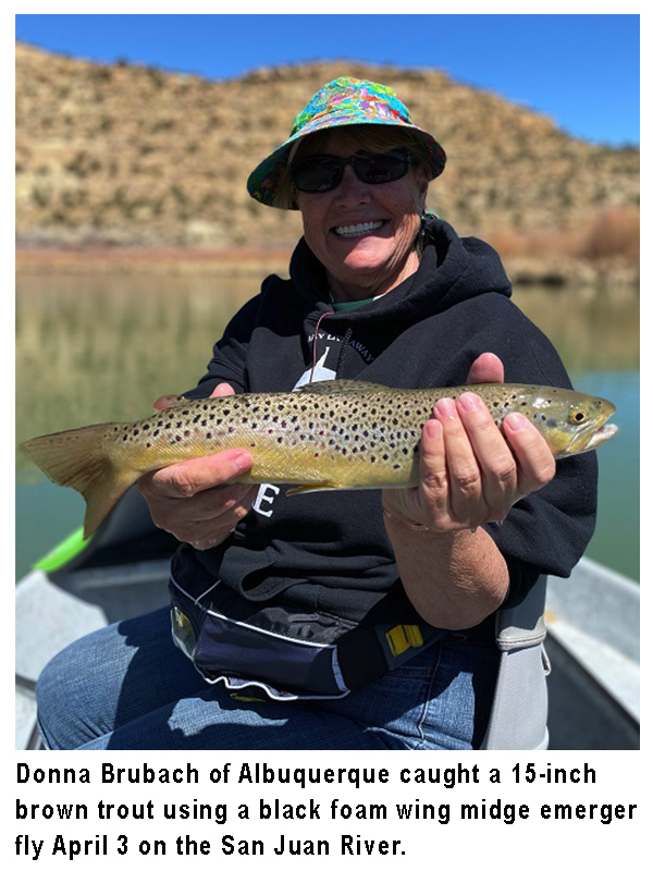 NMDGF's tweet photo. This #fishingreport, provided by Dustin Berg of Go Unlimited (supporting disabled anglers) and the @NMDGF, has been generated from the best information available from area officers and anglers. #fishnm #wildnm #nmfishingreport #nmstockingreport
https://t.co/5Ba0HOK9oa https://t.co/cOrN61n4hp