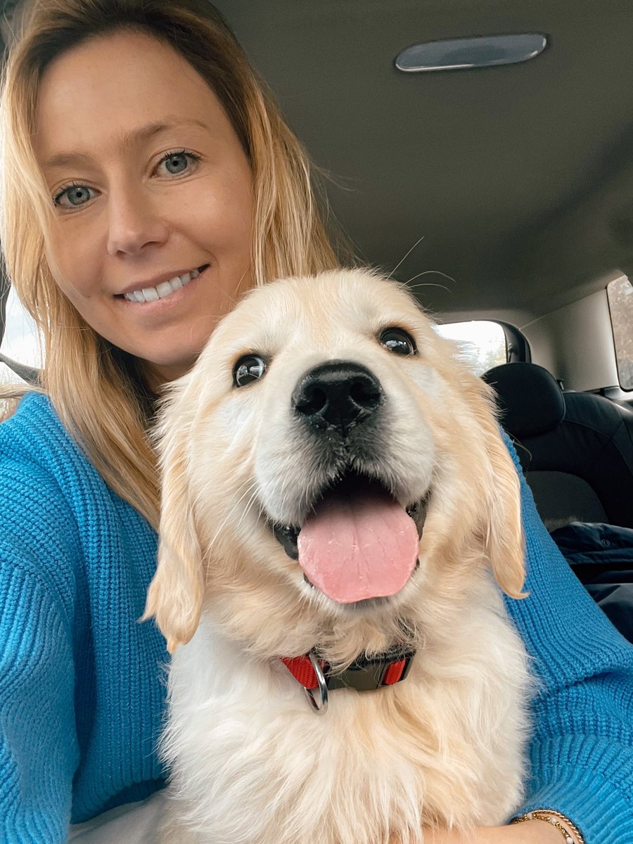Daily cuteness 🐾❤️ #doggy #puppylove #goldenretriever