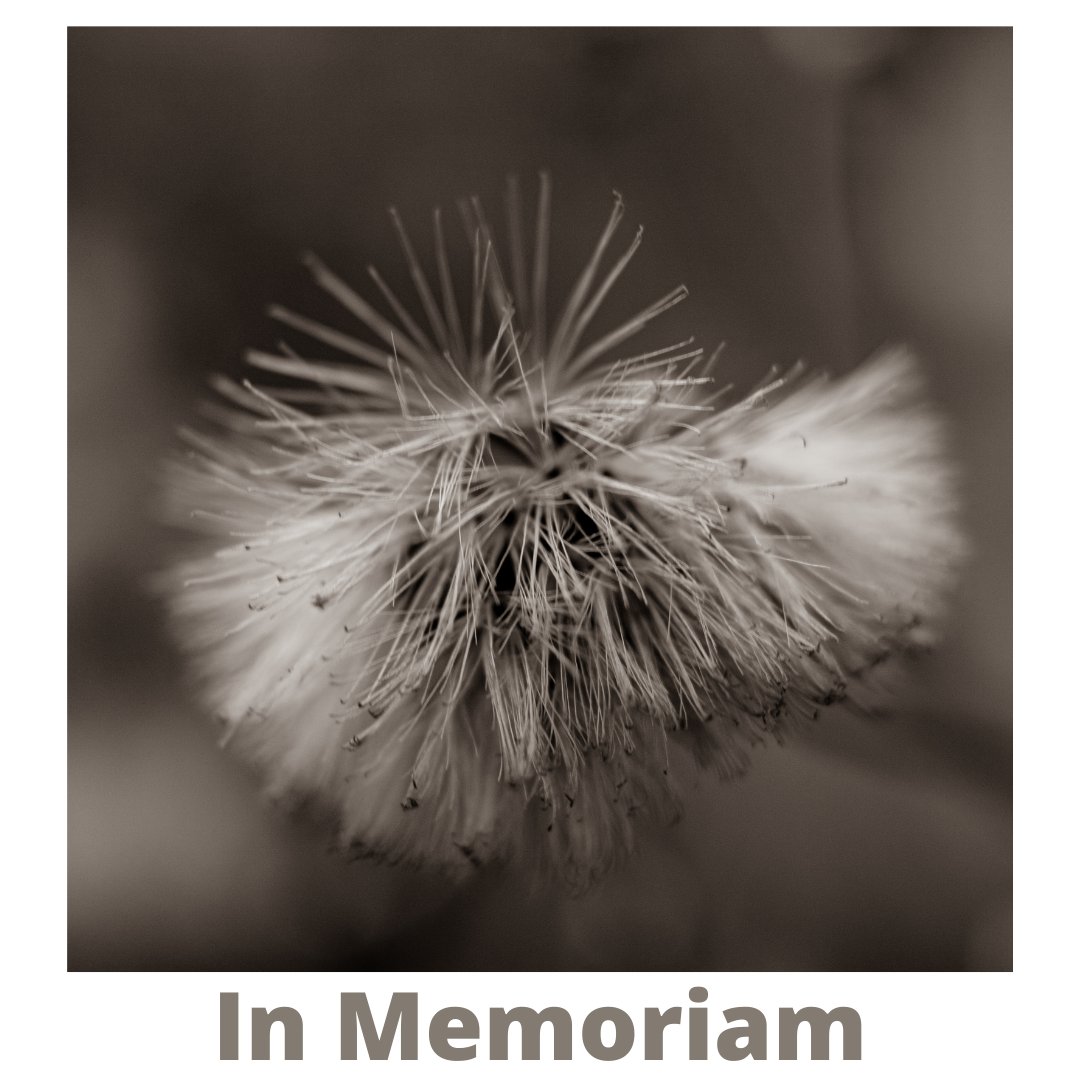 In Memoriam Ina Wiekart rksvrcd.nl/in-memoriam-in…