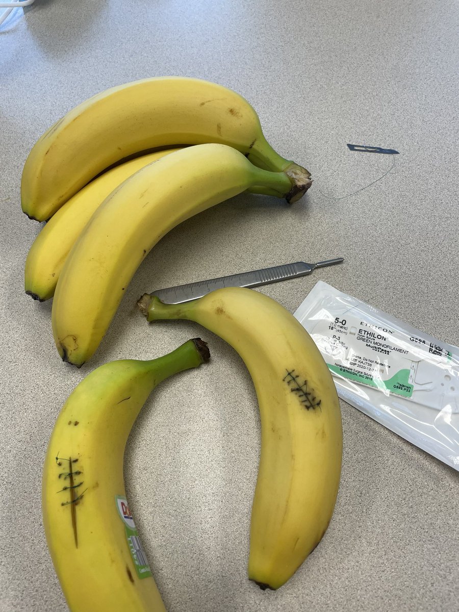 Suturing practice in preparation for upcoming surgeries. Not too shabby (if I do say so myself) -eaw
