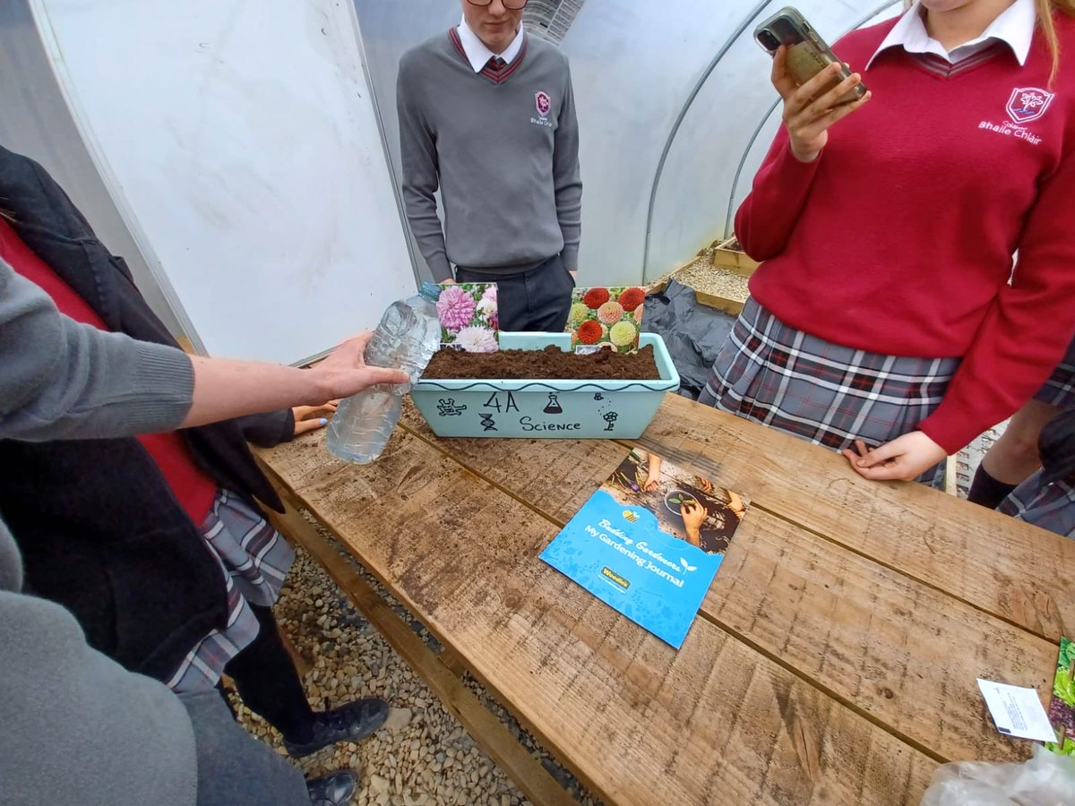 ClaregalwayColl's tweet photo. TY Science are super excited to collaborate with TY Gardening by taking part in the @WoodiesIreland #buddinggardeners challenge.
Can't wait to watch our seeds grow 🥀🥬🌷
#CBCScience https://t.co/eR3HMAl5Z1
