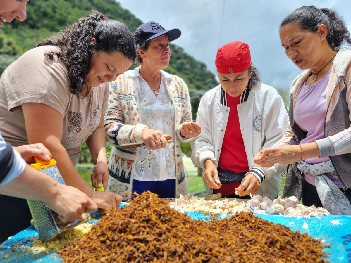Serraniagua's tweet photo. Taller de alimentación alternativa para especies menores. 
Acciones colectivas desde la sostenibilidad, la agroecologia y el saber local.
#agriculturaorganica  #agroecologia 
#agricuturafamiliarcampesinacomunitaria  #ComeSanoSeguroSoberano https://t.co/g2d93WHJT8